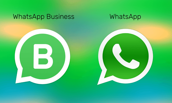 Whatsapp Vs Whatsapp Business App What S The Difference Ally